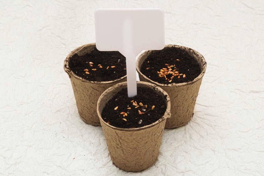 Biodegradable cardboard pots | bm-color