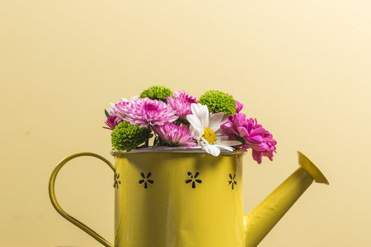 Yellow watering can | bm-color