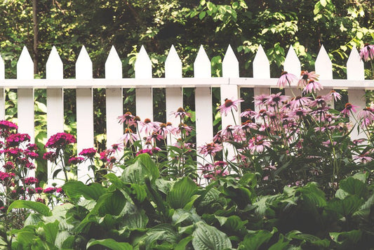 Wooden Fence | bm-color